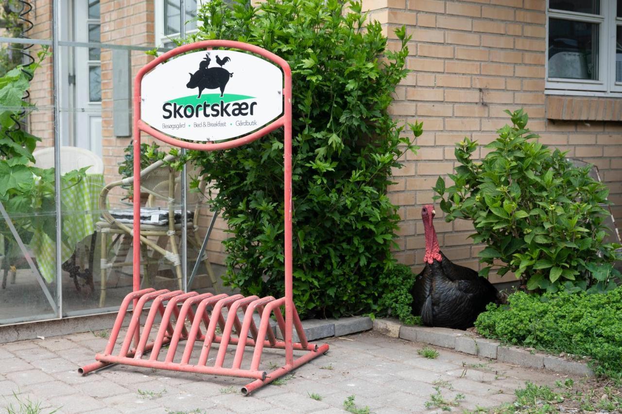 Bed and Breakfast Skortskaer Bondegardsferie Havnsø Exterior foto